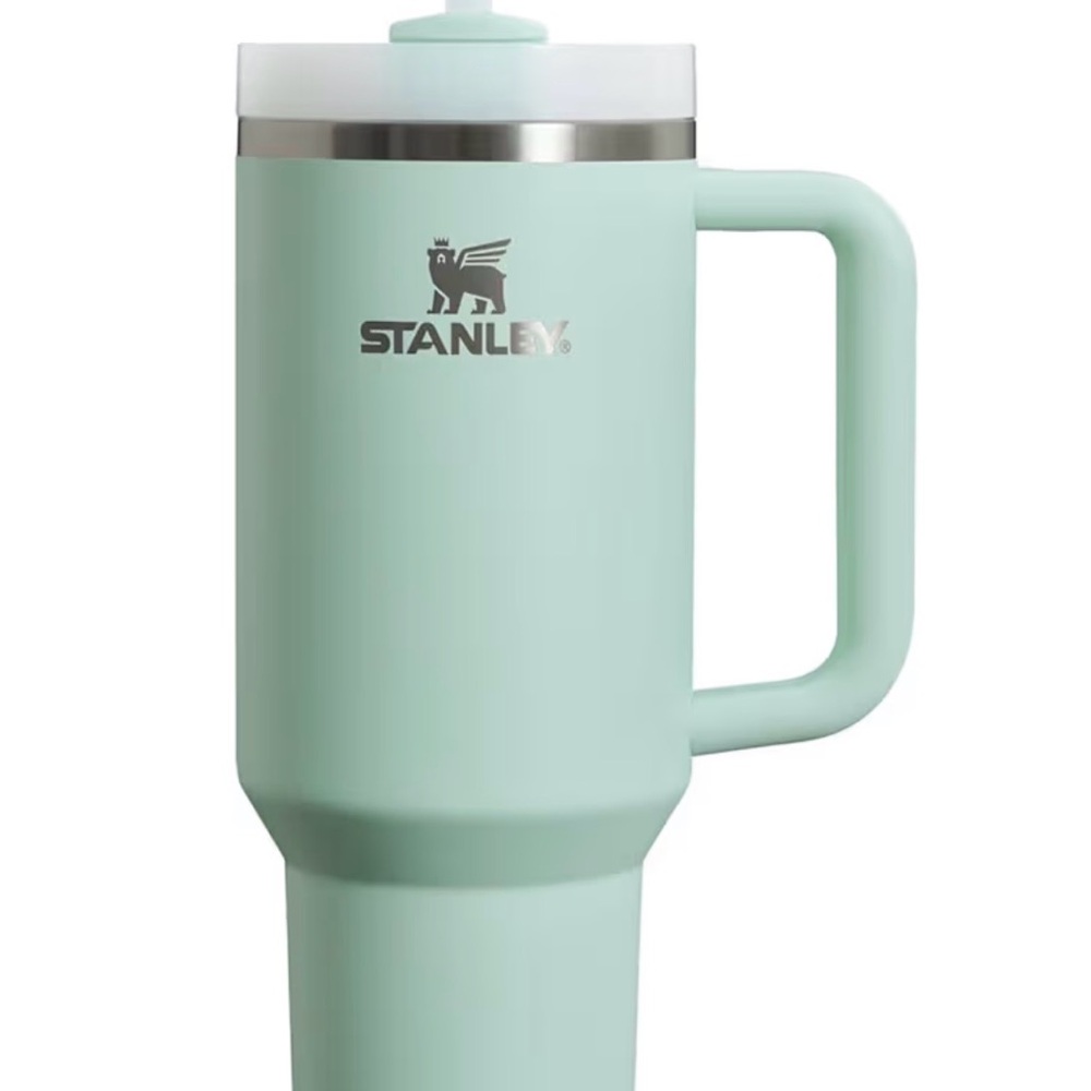 40oz mint stanley